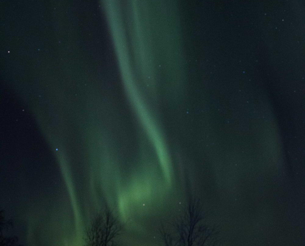 Tundrasafari Finland - Day Tours-Utsjoki必去景点