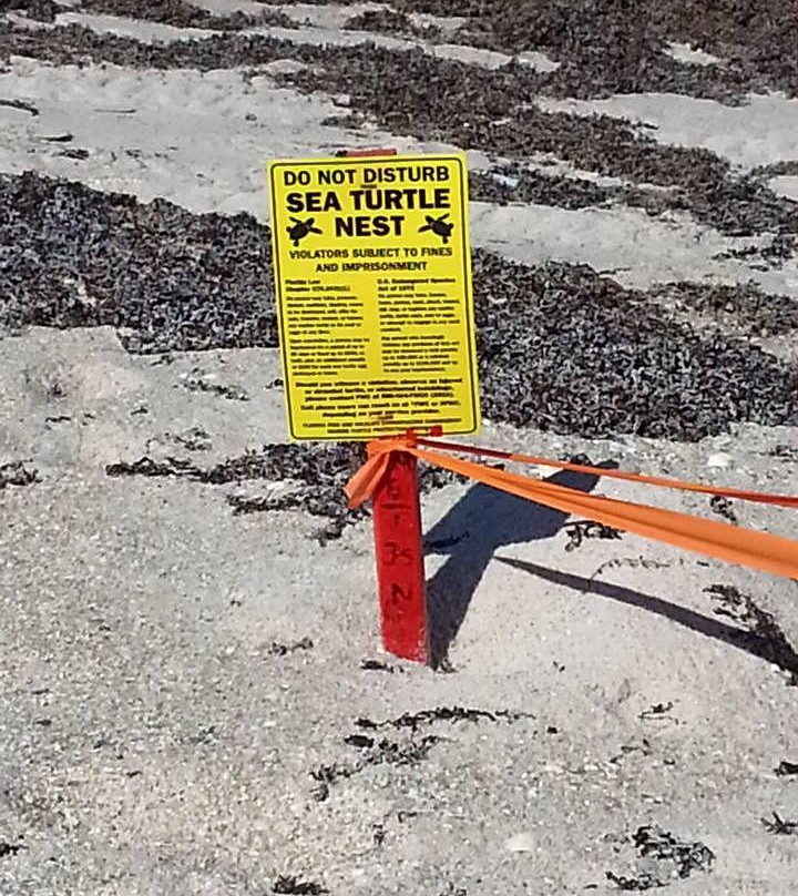 Round Island Beach Park-维罗海滩必去景点