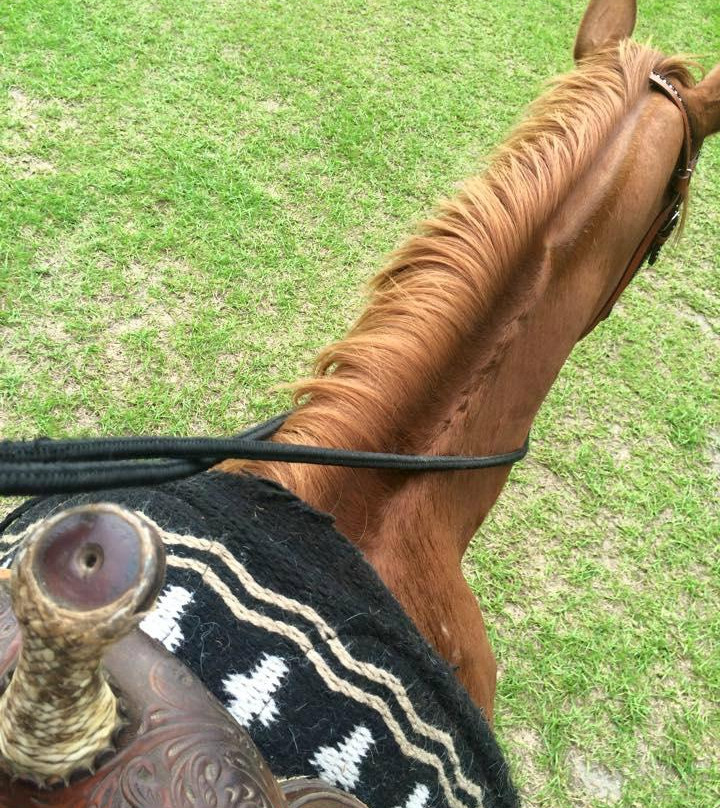 Rockin n Stables-Pelham必去景点