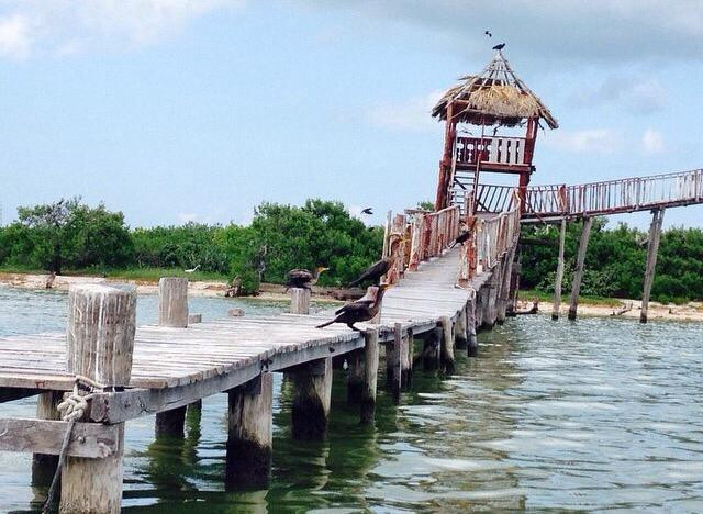 Isla Pajaros-尤卡坦半岛必去景点