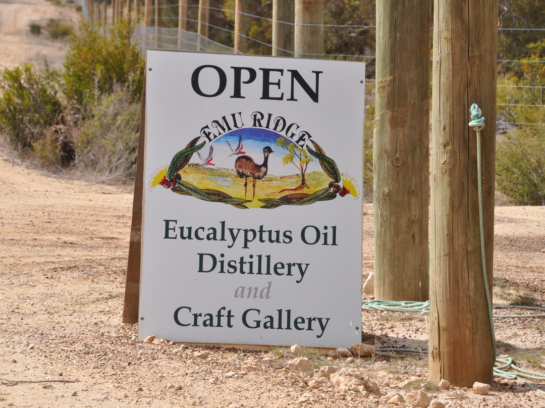 Emu Ridge Eucalyptus-金斯科特必去景点