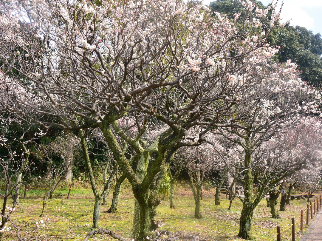Okami Shrine-枚方市必去景点