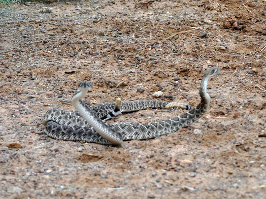 Lake Balmorhea-Balmorhea必去景点