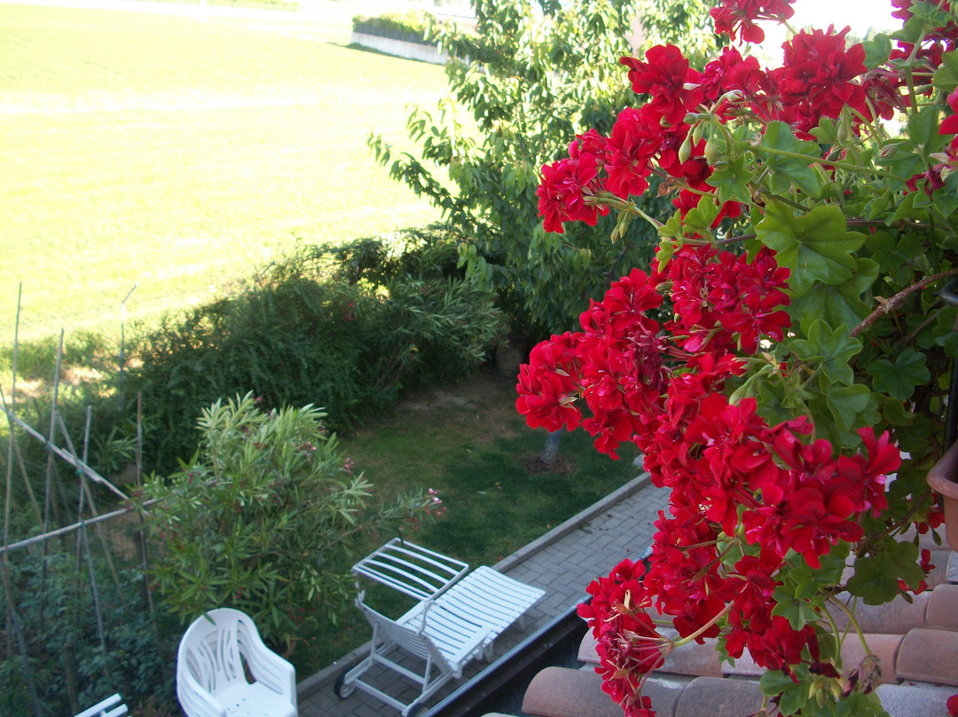 Castiglione di Cervia酒店住宿-La Salina