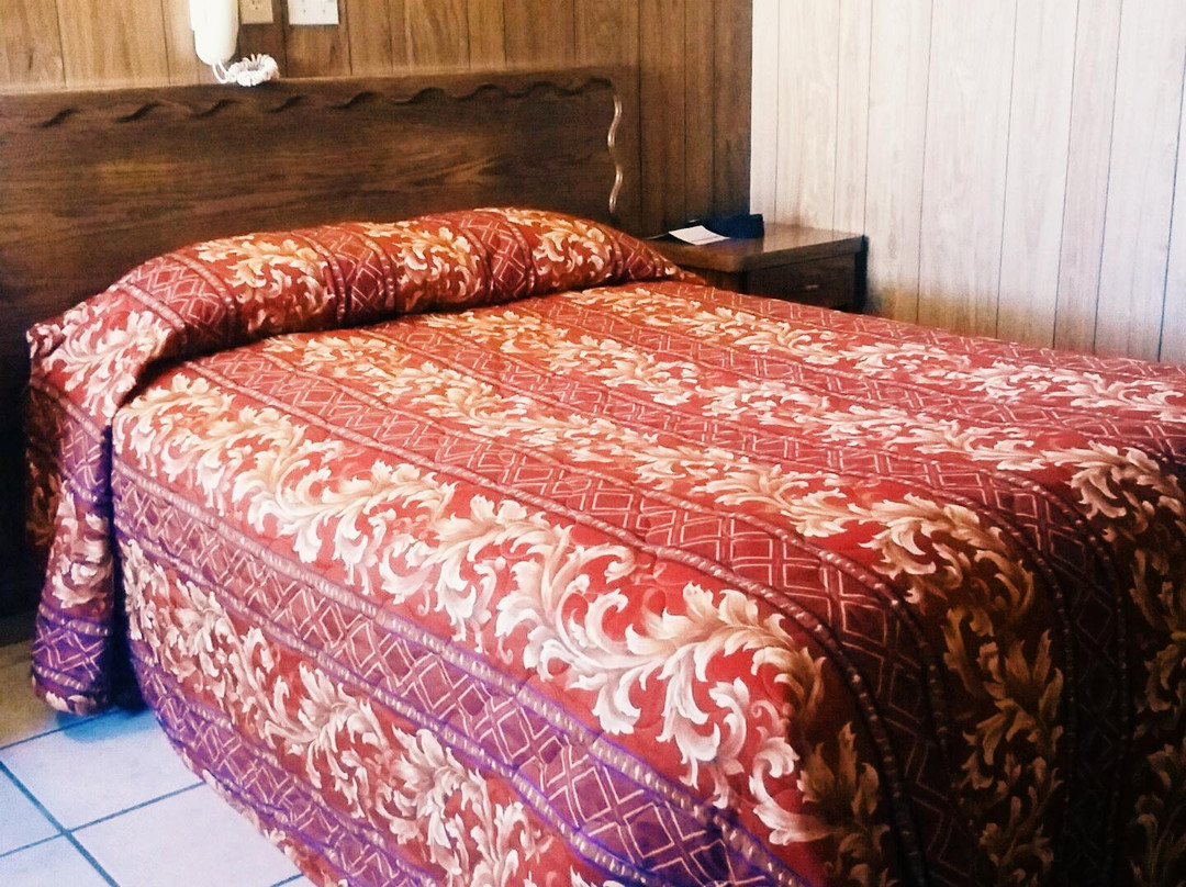 Hotel Excelsior主图