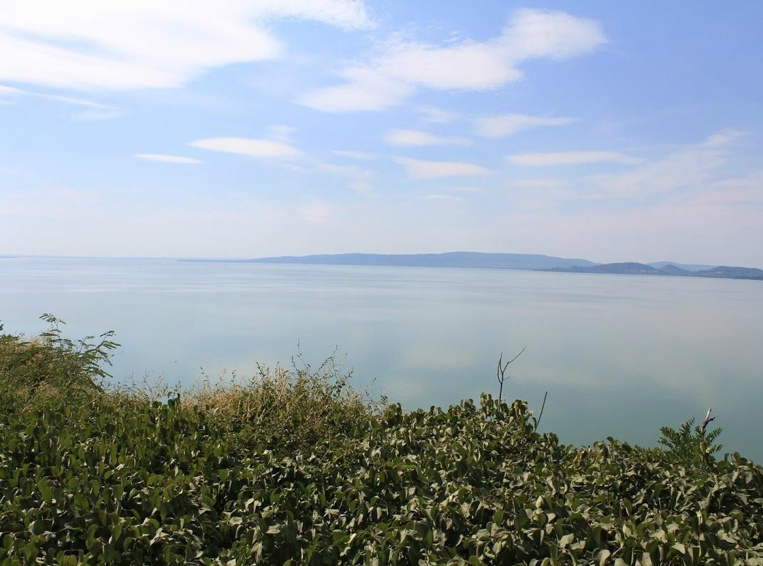 null-Balatonfenyves