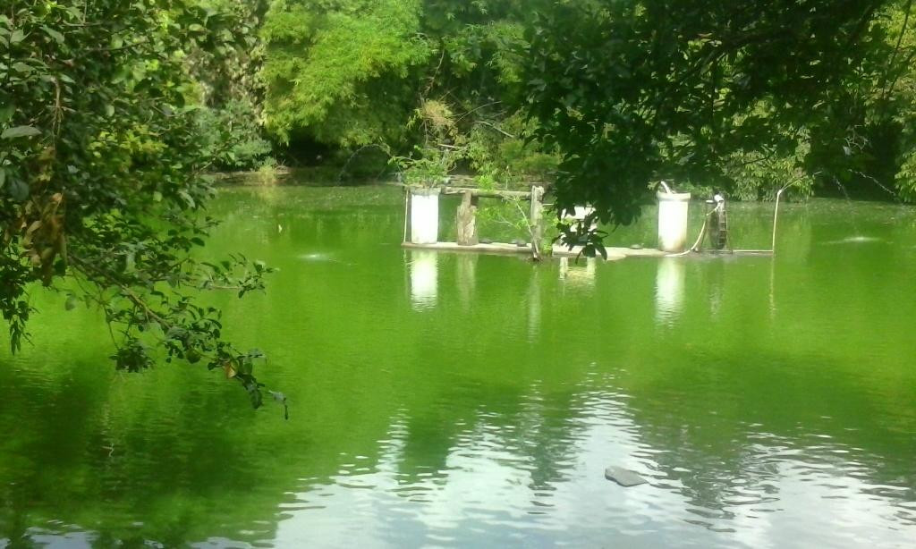 Parque Vinte De Maio-阿雷格里港必去景点