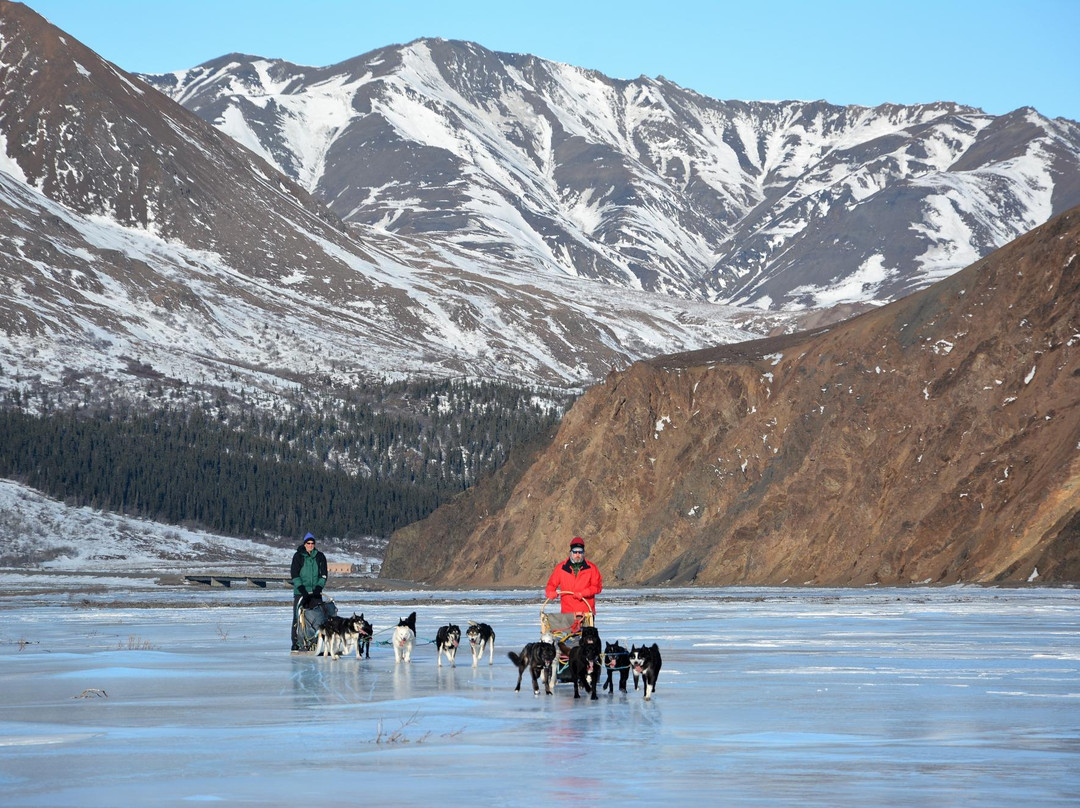 Dog Sledding Tours at EarthSong Lodge-希利必去景点