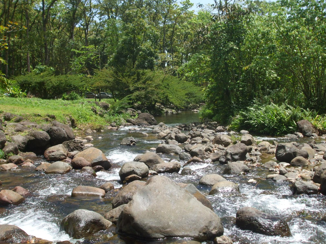 Foret Coeur Bouliki-Saint-Joseph必去景点