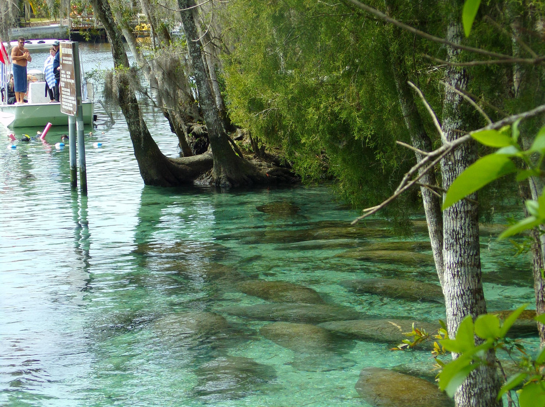 Three Sisters Springs-克里斯特尔里弗必去景点