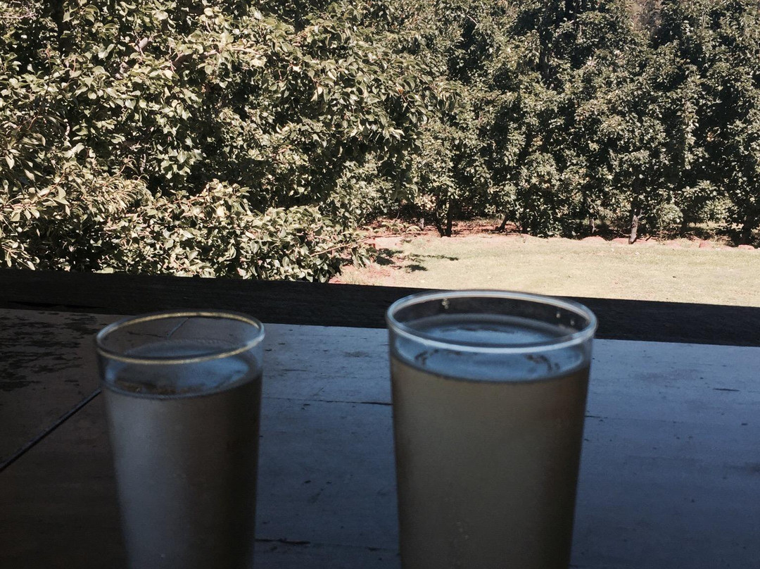 The Wine Tree-Dwellingup必去景点