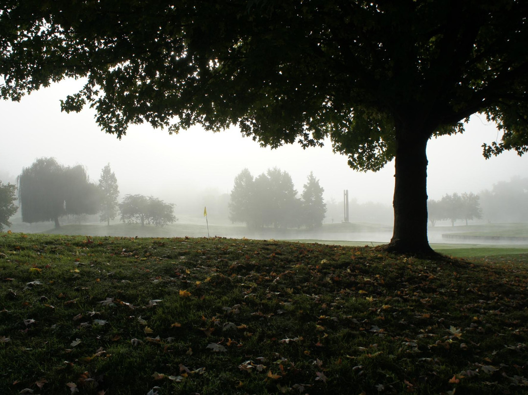 UGolf du Chateau de Cely, Golf Pays de Fontainebleau景点图片