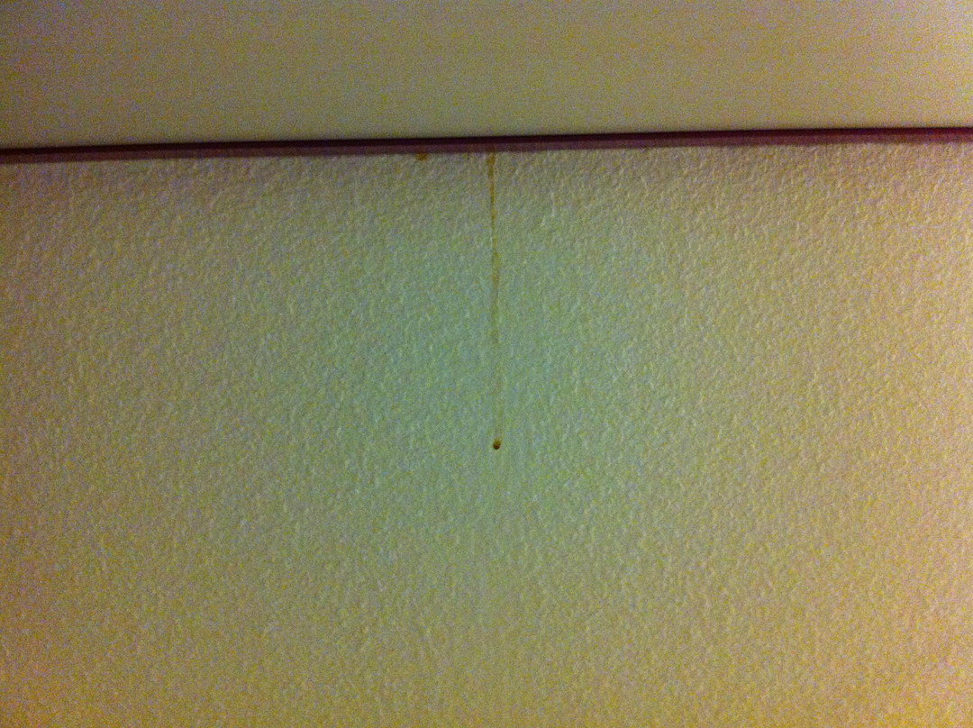 Hotel Primotel主图