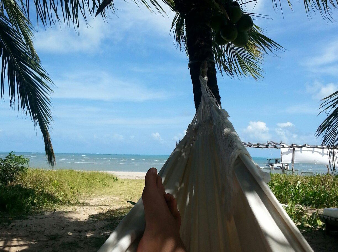 Camacho Beach-Maragogi必去景点