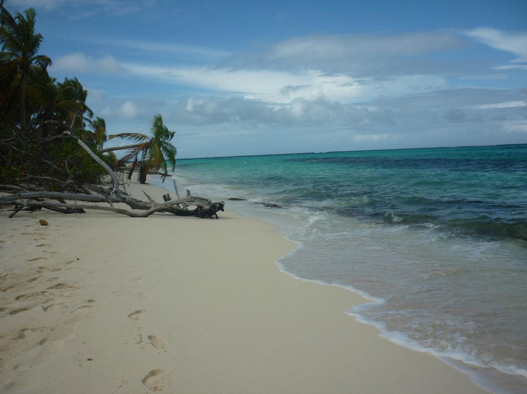 Gwen's Reggae Bar & Grill-West End Village必去景点