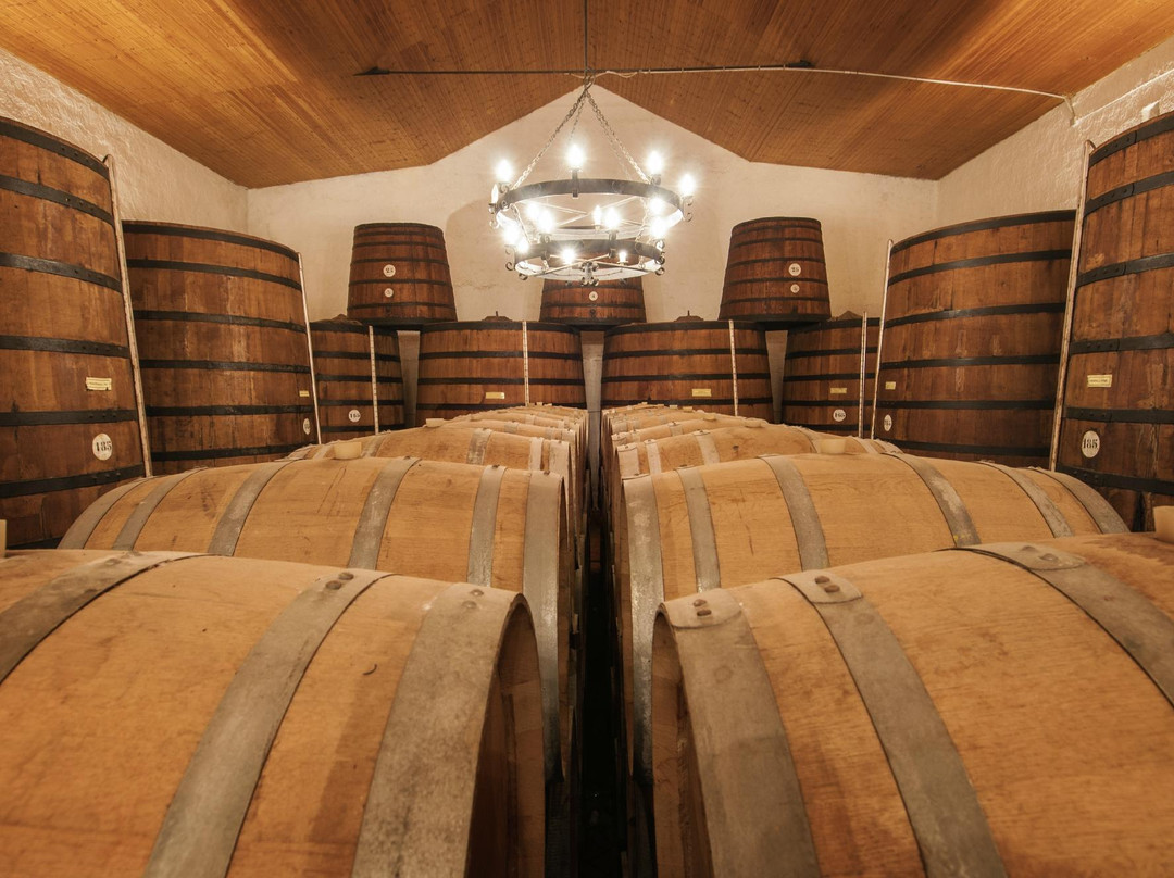 CANTINA MARTINEZ dal 1866-马尔萨拉必去景点