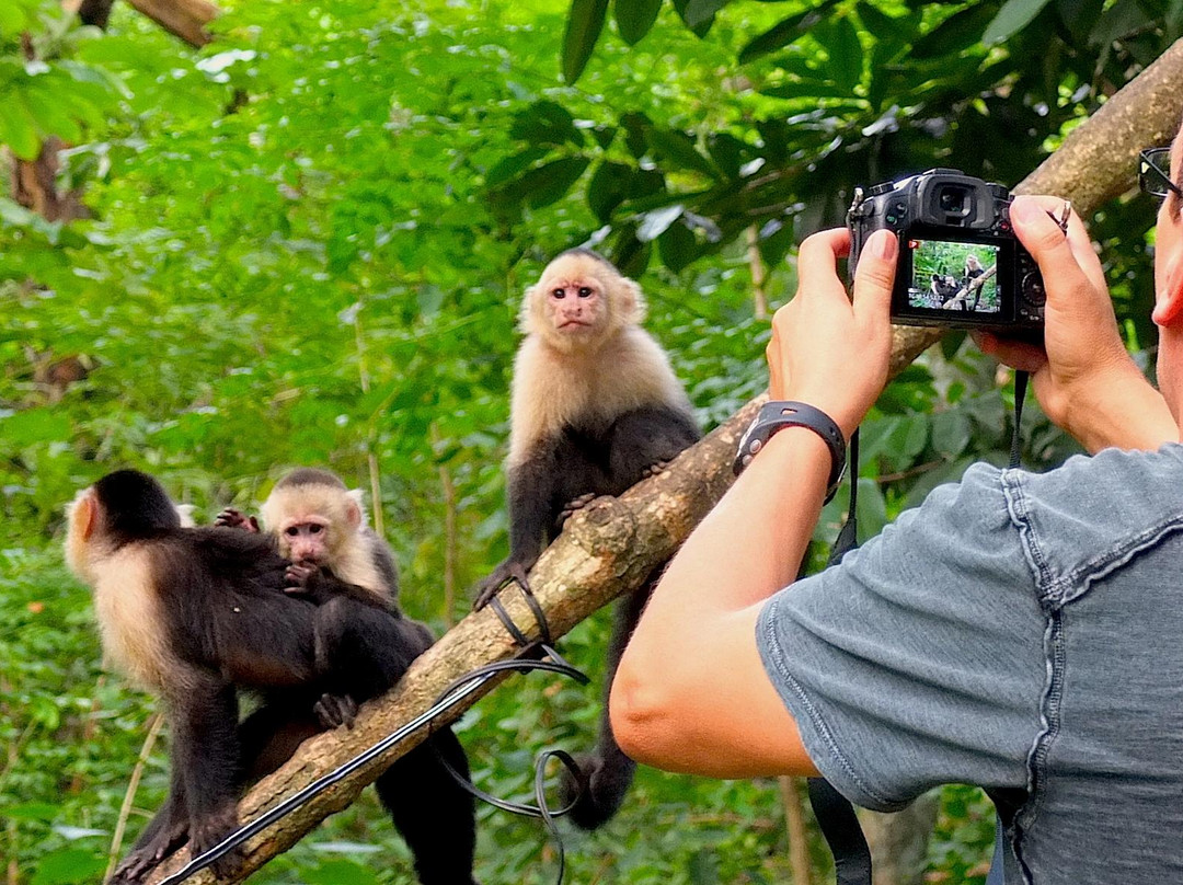 Tours Costa Rica Enjoys景点图片