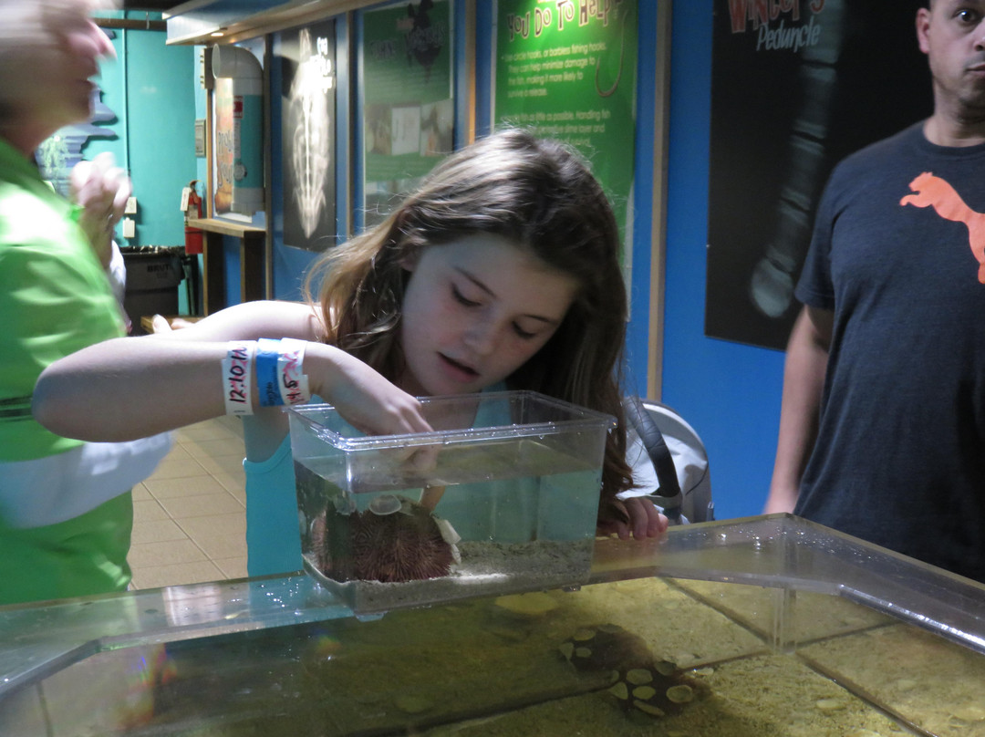 Clearwater Marine Aquarium-克利尔沃特必去景点