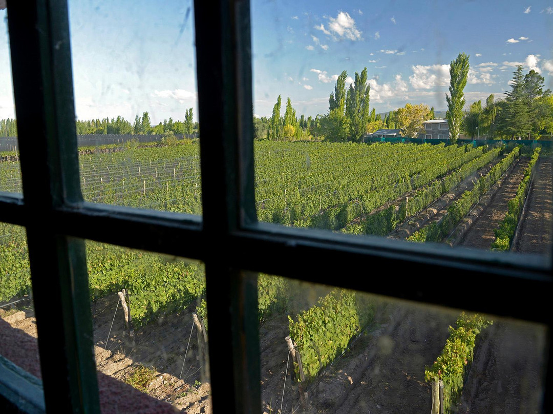 Bodega Finca El Nevado-圣拉斐尔必去景点