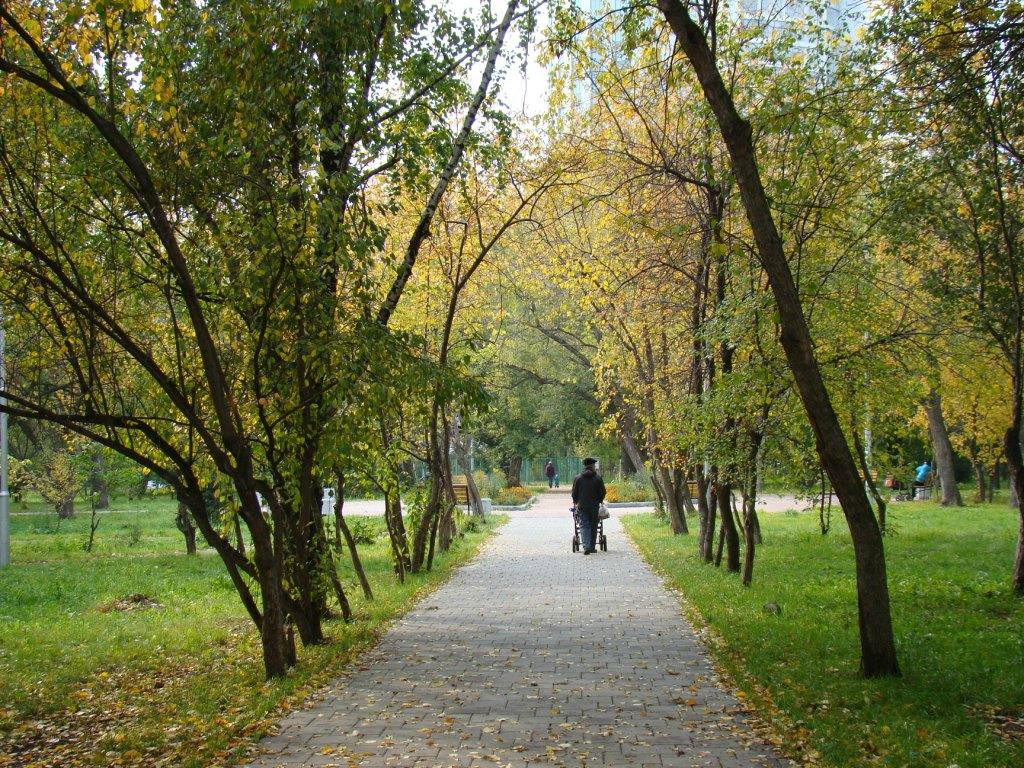 Pavlik Morozov's Garden景点图片