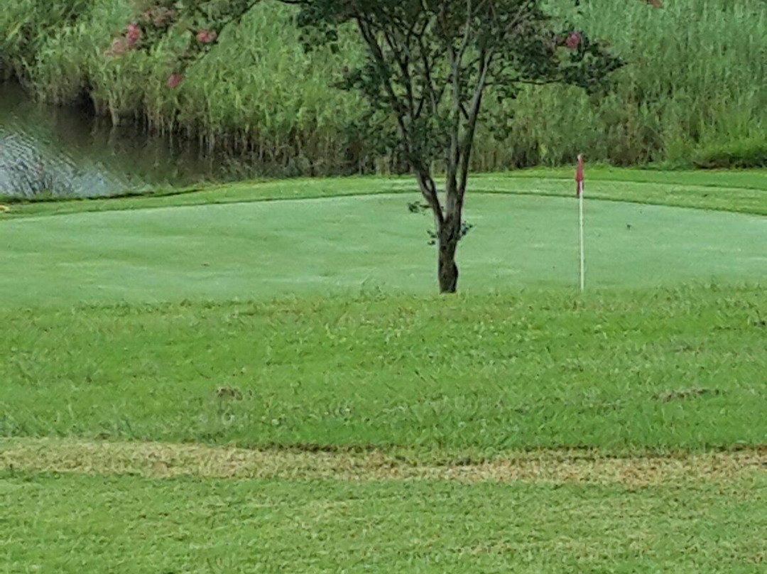 巴德普拉斯酒店住宿-Badplaas Golf Club Guest House & Lodge