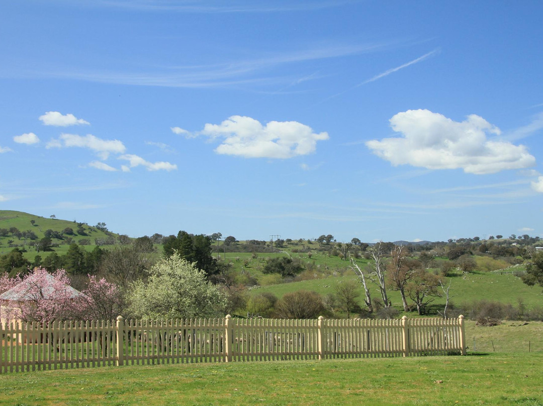 Cooma Cottage-亚斯必去景点