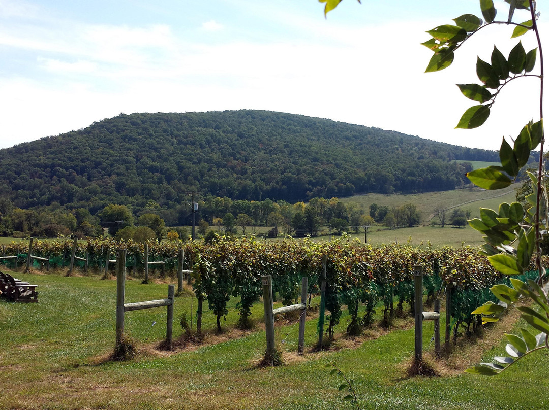 Hillsborough Vineyards-Purcellville必去景点