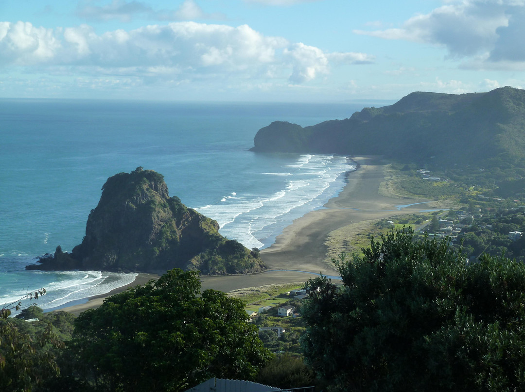 Twin Harbours Tours-奥克兰中心地区必去景点
