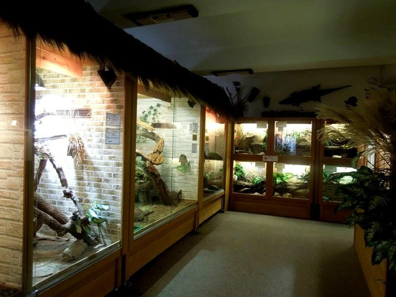 Reptilienhaus Oberammergau景点图片