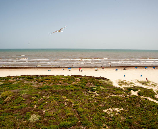 Holiday Inn Club Vacations Galveston Beach Resort, An IHG Hotel