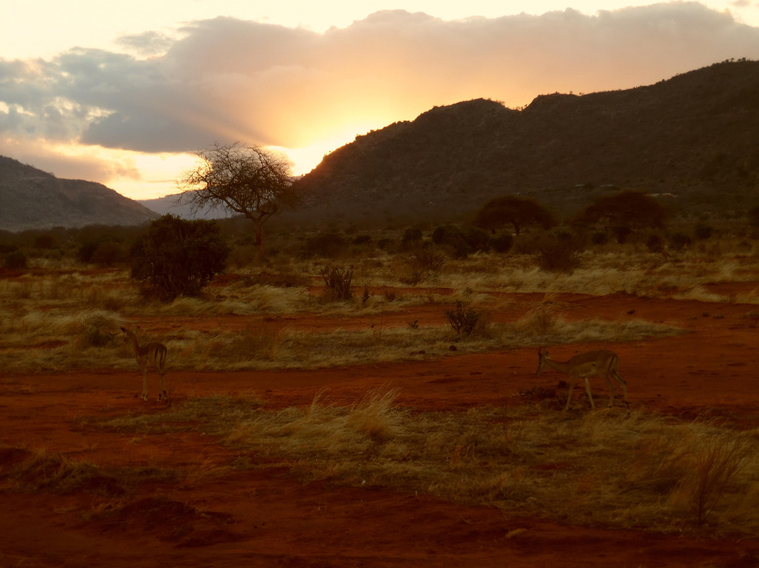 Safari Kenya Watamu-瓦塔木必去景点