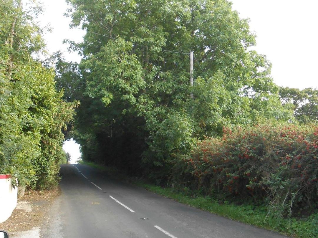 Ballylumford Dolmen景点图片