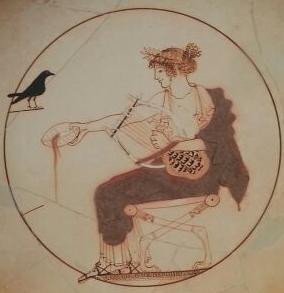 Gioi酒店住宿-B&B Il Corbezzolo