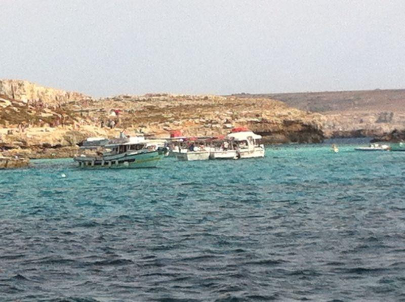 Seahorse Cruises-Bugibba必去景点