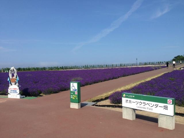 鄂霍次克流冰公园-纹别市必去景点