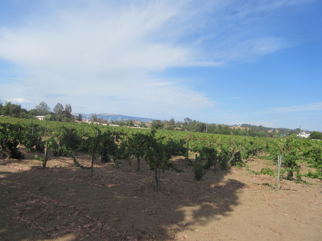 Fortino Winery-吉尔罗伊必去景点