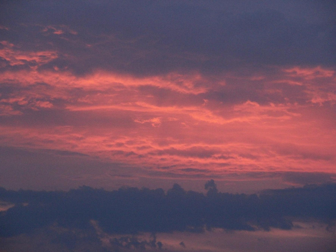 Badfish Charters-Ocean View必去景点