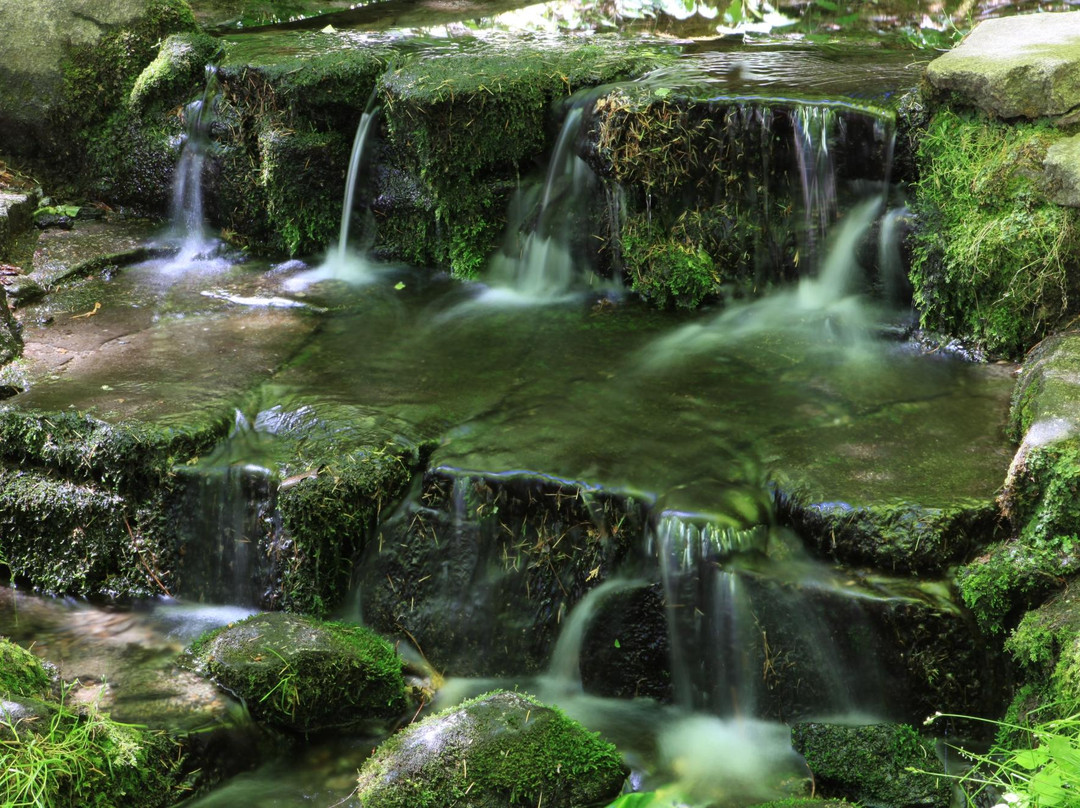 Mountain Shuttle Yosemite-奥克赫斯特必去景点