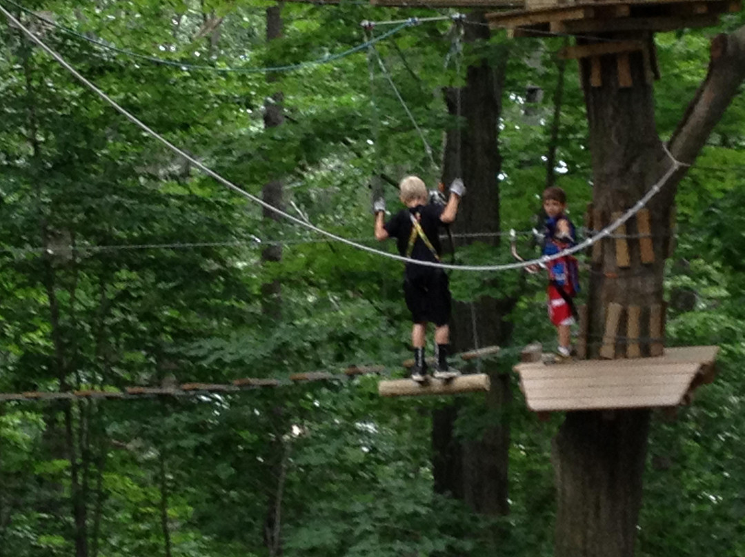 The Adventure Park at Long Island景点图片