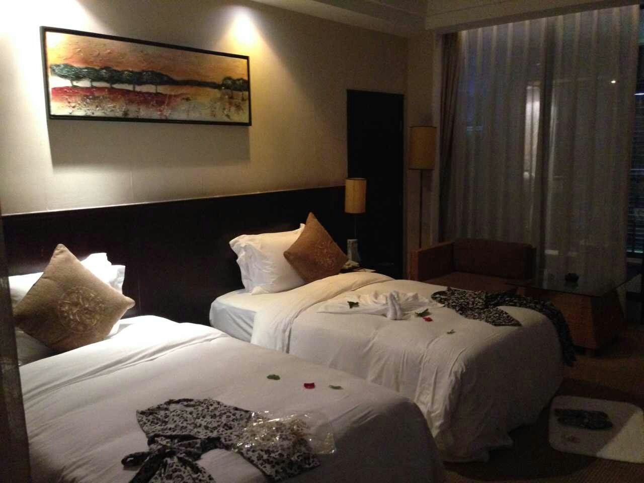 海悦山庄酒店-客卧