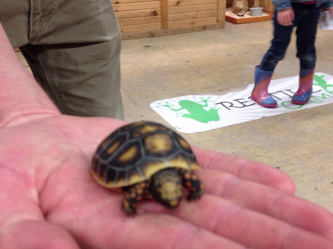 Little Rays Nature Centre-汉密尔顿必去景点