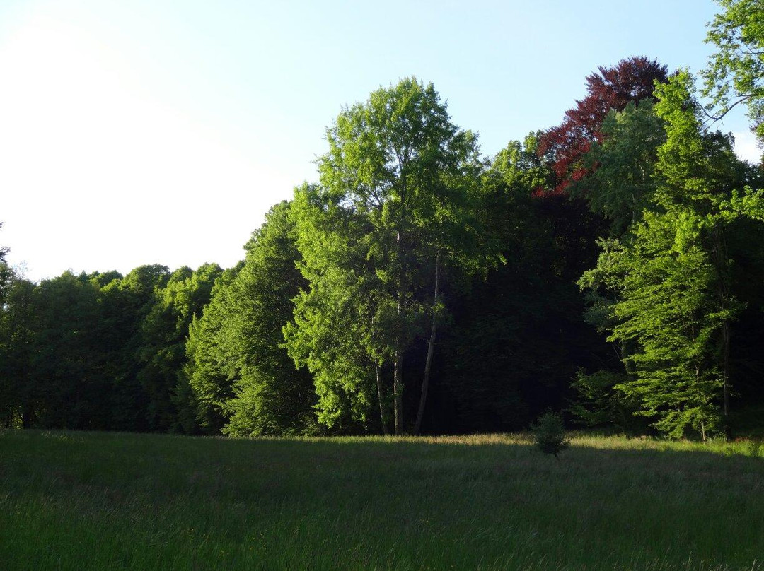 Furst-Puckler-Park Bad Muskau-Bad Muskau必去景点
