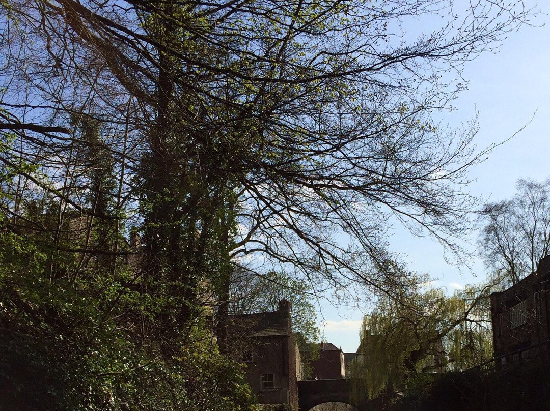 Pennine Cruisers of Skipton-斯基普顿必去景点