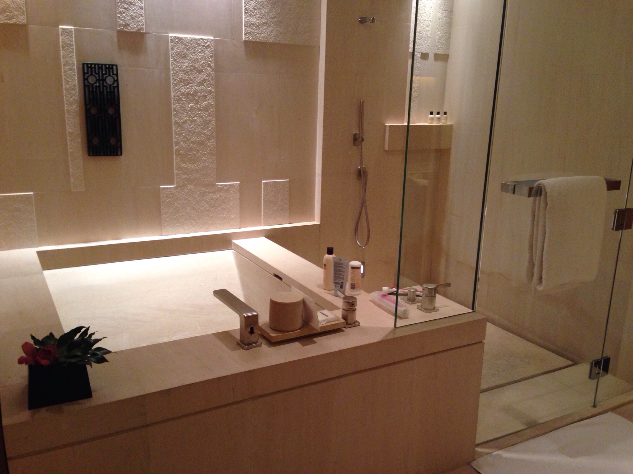 北京柏悦酒店-客卧