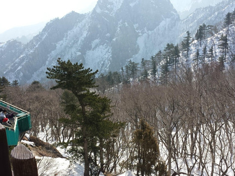 这里是韩国——私人专属游-首尔必去景点