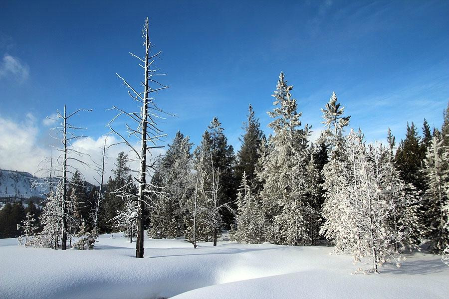 The Wildland Trekking Company-黄石国家公园必去景点