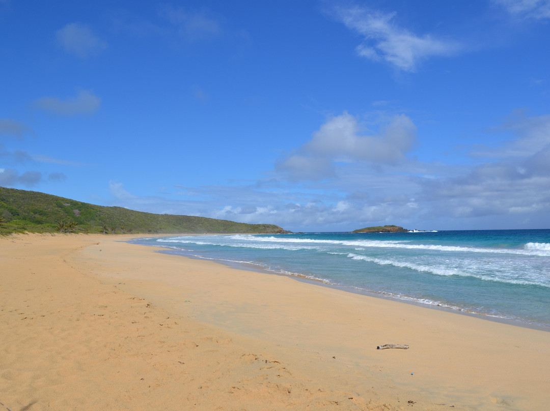 Brava Beach-库莱布拉岛必去景点