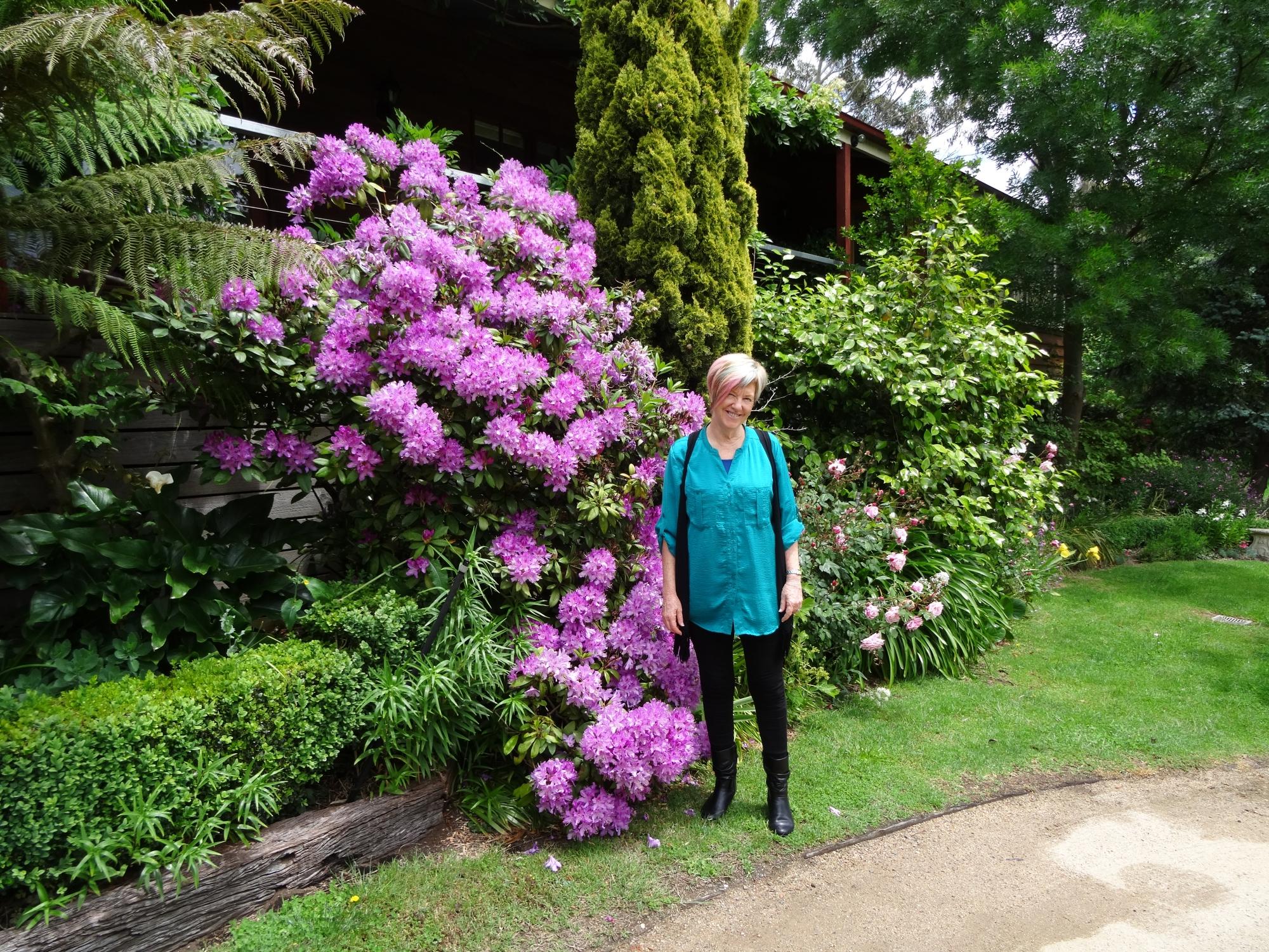 Hollyhock Bed and Breakfast-客卧