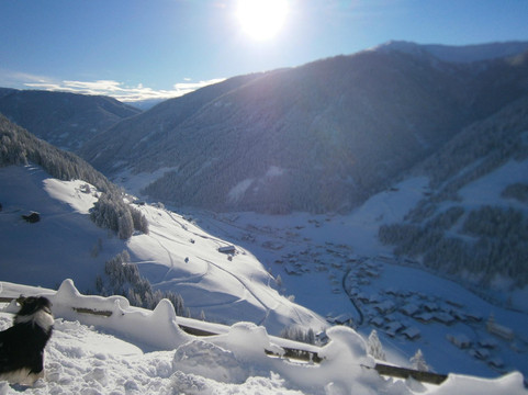 Bergbauernhof Ausserberglet主图