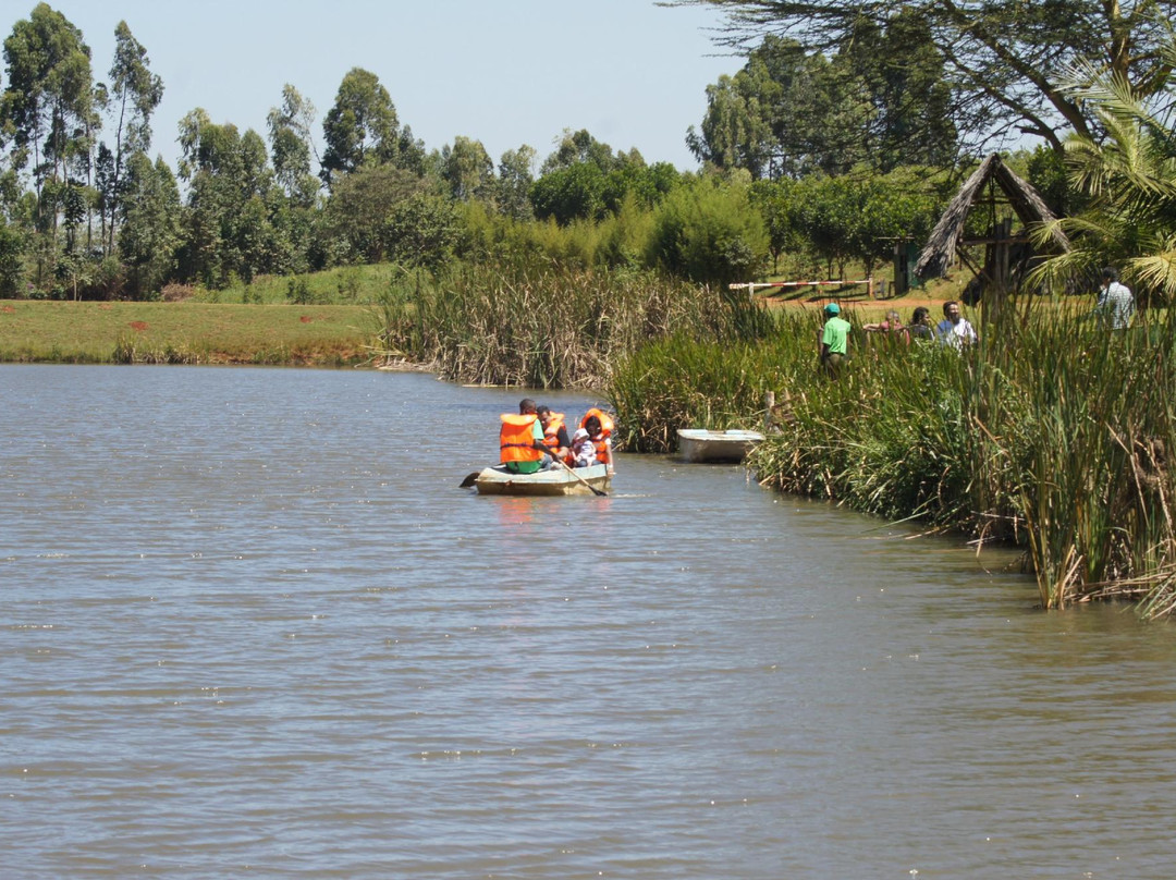 Evergreen Park-奇安波必去景点